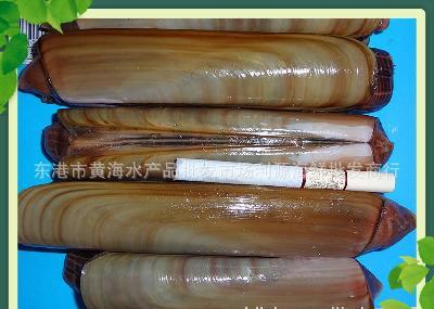 东港市黄海水产品批发市场利源海鲜批发商行