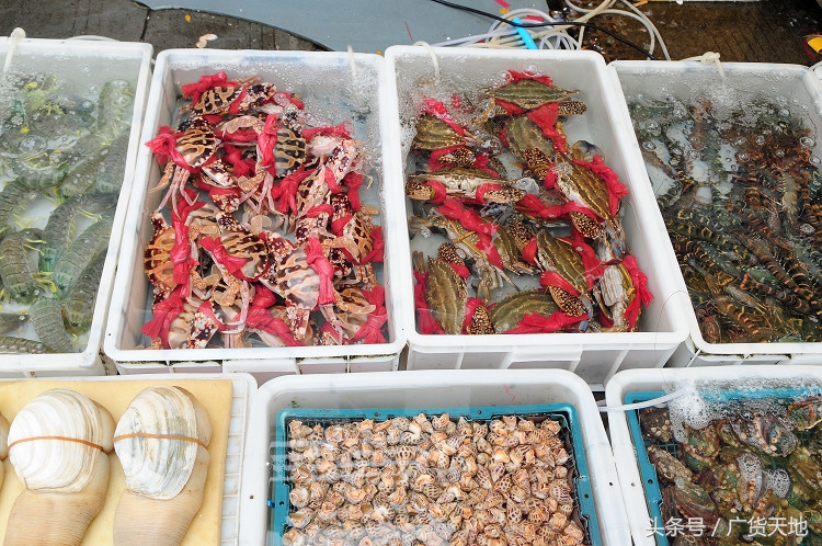 海鲜之都广州黄沙水产品批发市场