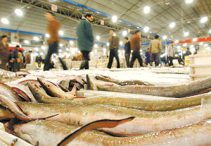 宁波海鲜市场加速"减量增质" 主要水产品交易量下滑